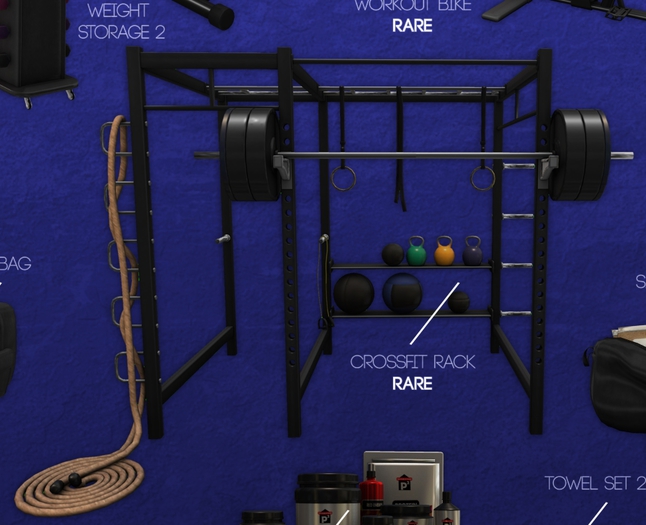 -David Heather-Crossfit Rack RARE