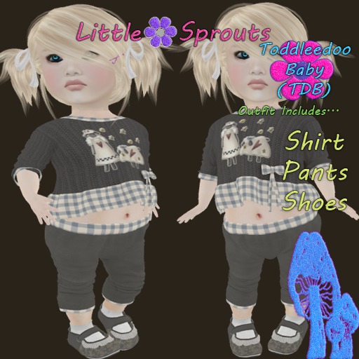 (TDB) Little* Sprouts-Little Sheep  (Boxed)