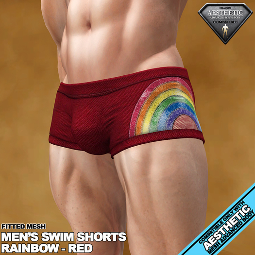 RGDW - Swim Boxers  for Aesthetic - Rainbow Pride - Red