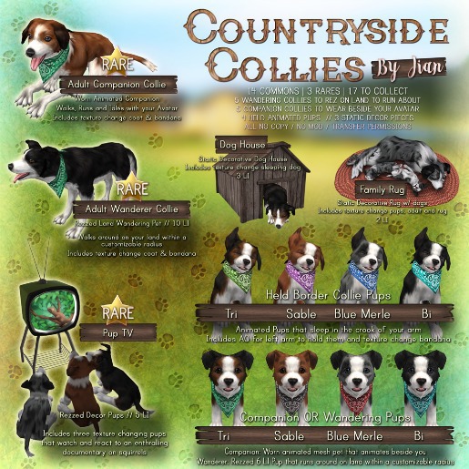 JIAN Countryside Collies :: Held Pup Bi BOX 1