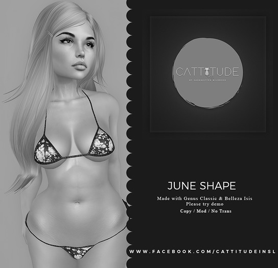 Cattitude June Shape (demo)