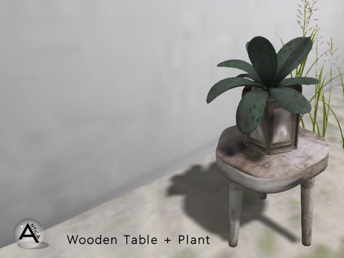ANTICA Small Table Plant