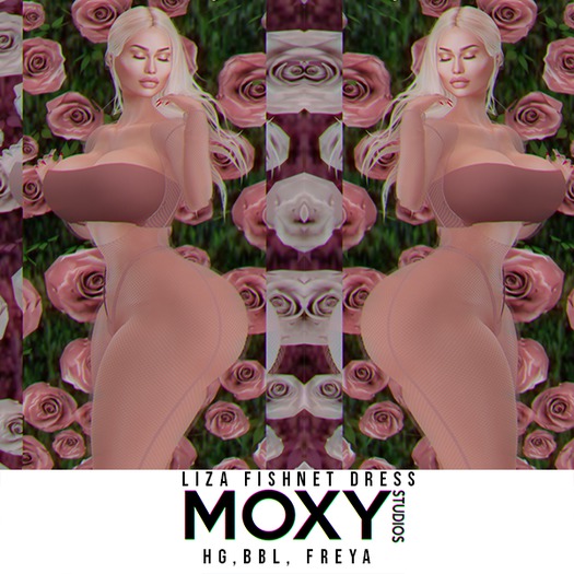 Moxy - Liza Fishnet Dress Fatpack