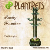 PlantPet Seed [Lucky Bamboo *Daikokuten*]