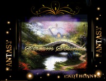 Bunny's Sounds-Small Stream with 3 volumes