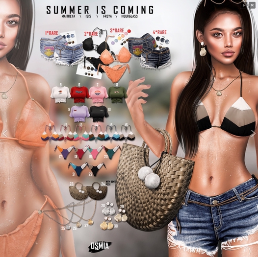 OSMIA - Summer is coming.Shell Earrings - Gold