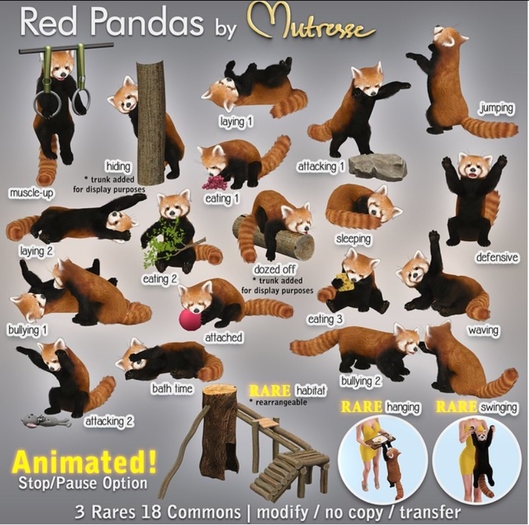 Mutresse - Habitat - Red Pandas RARE