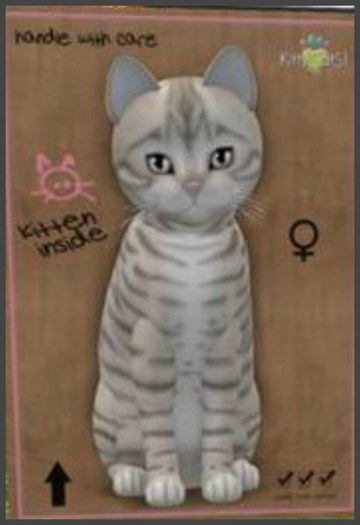 KittyCatS Box - New Born Kitten