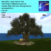 Large Mature tree with cobblestone ground & garden bike-crate