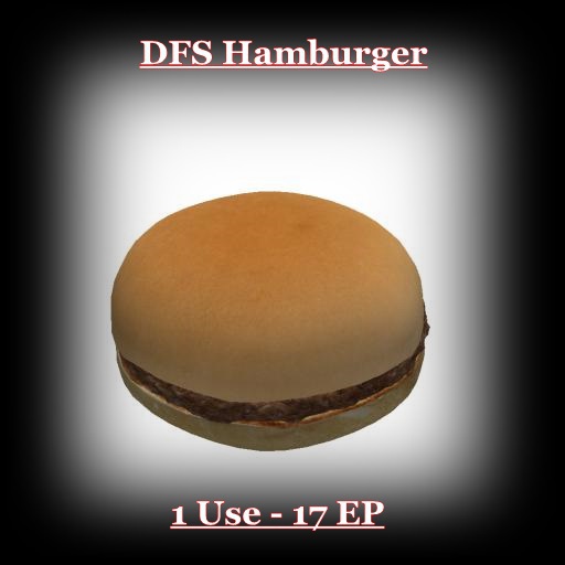DFS TEXTURE - DFS Hamburger 1