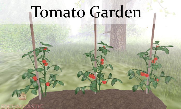 {ENT} Tomato Garden