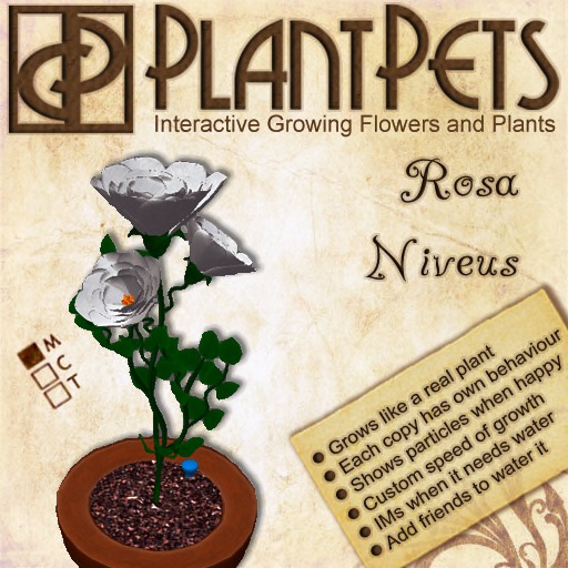 PlantPet Seed [Rosa *Niveus*] RARE