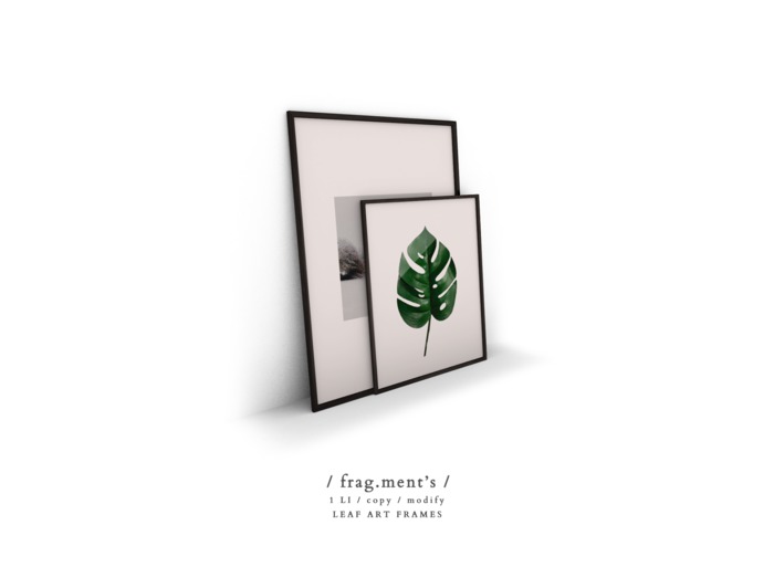 / frag.ment's / Leaf Art Frames