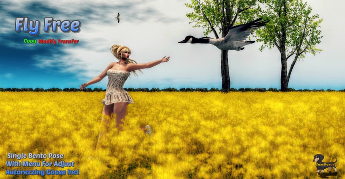 Fly Free