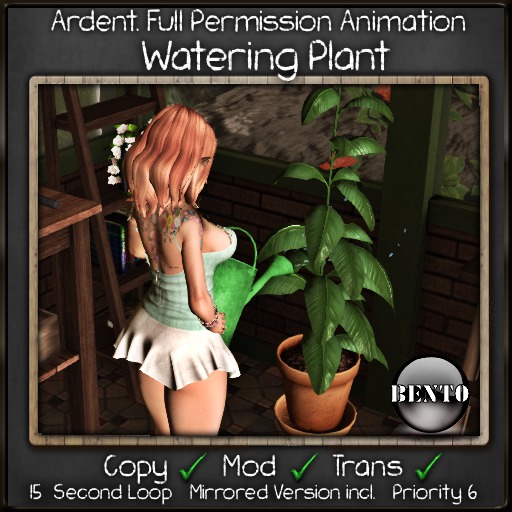 Ardent. Watering Plant Bento