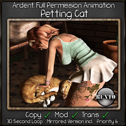 Ardent. Petting Cat Bento