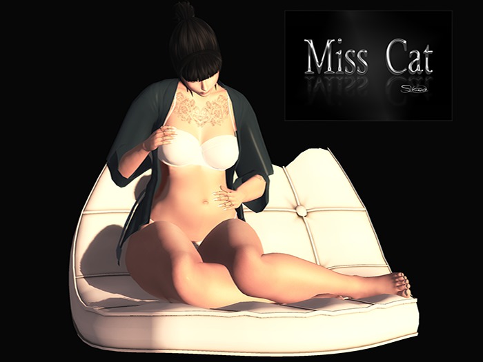 : : Miss Cat : :  pose gravida(cushion)
