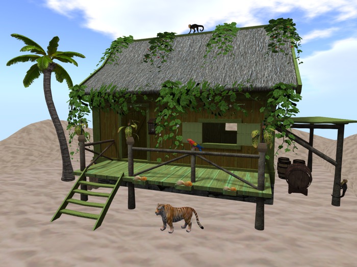 Tropical Beach House 