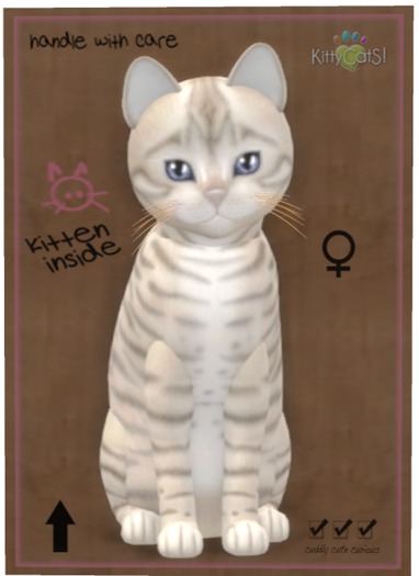 KittyCatS Box - Toyger - Snow