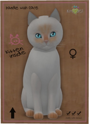 KittyCatS Box - Siamese - Flame