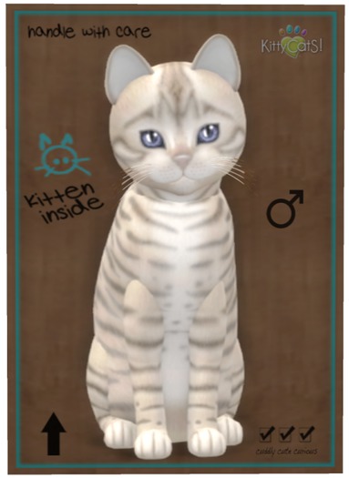 KittyCatS Box - Toyger - Snow