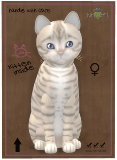 KittyCatS Box - Toyger - Snow