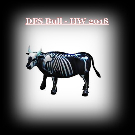 DFS TEXTURE - DFS Bull - HW 2018