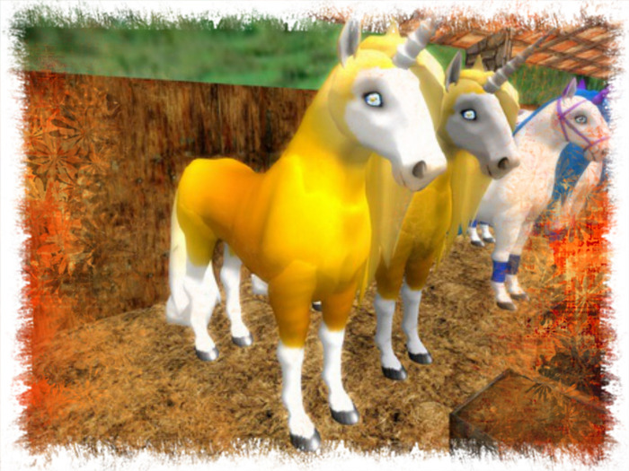 Amaretto Breedables Bundle Sunshine Crazed Coat Sorrel