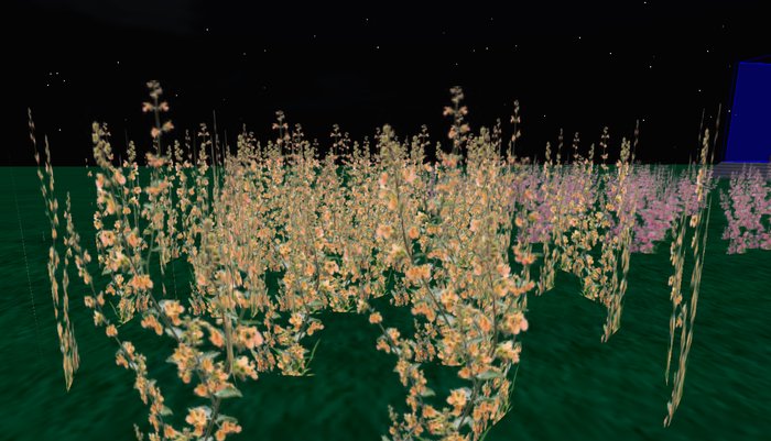 Peach wild Flowers