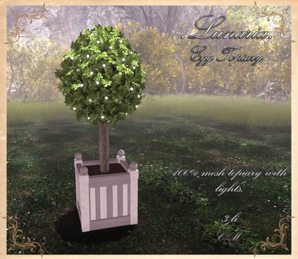 .Lunaria. Egg Topiary 