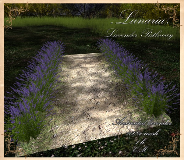 .Lunaria. Lavender Pathway {Add Me}