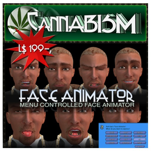 Boxed Face Animator