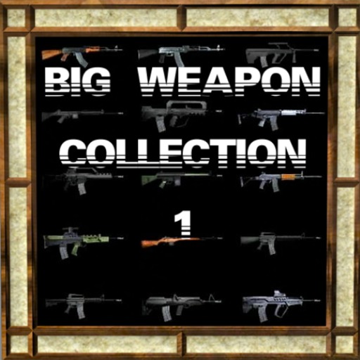 Big Weapon Collection - 1