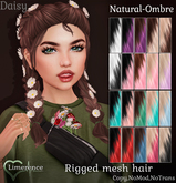 {Limerence} Daisy hair-Natural Ombre