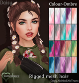 {Limerence} Daisy hair-Colour Ombre