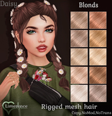 {Limerence} Daisy hair-Blonds