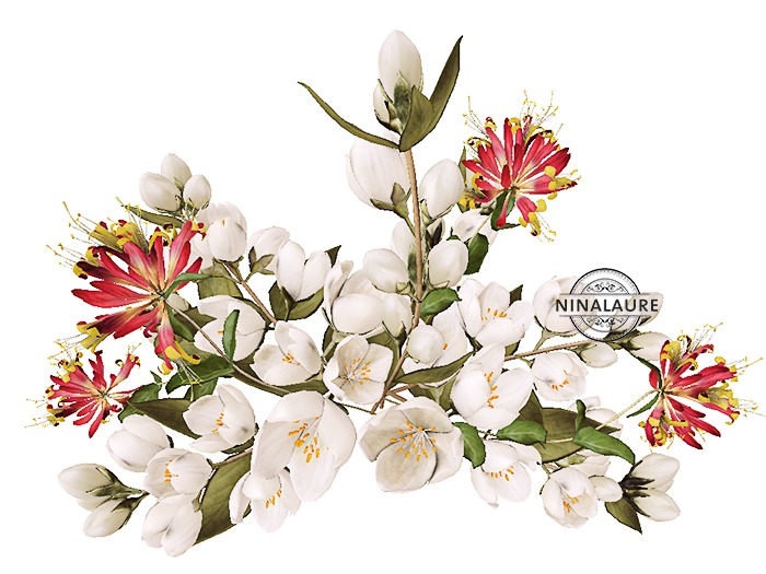 *LODE* Head Accessory - Philadelphus [white red honey] RARE