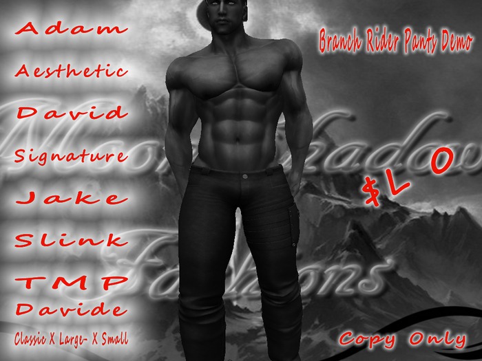 BRANCH RIDER PANTS DEMO