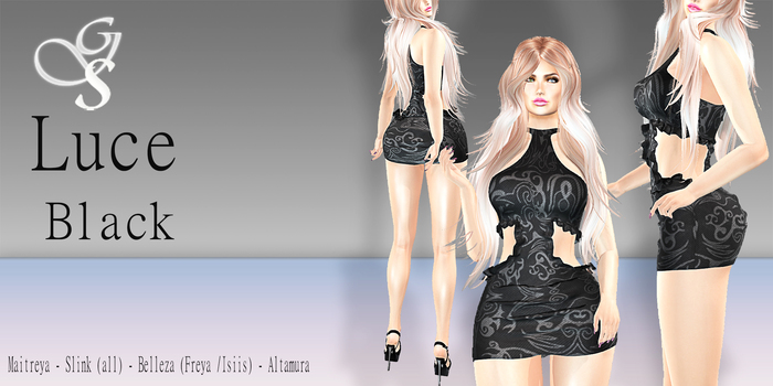 !GS- LUCE DRESS MESH BLACK