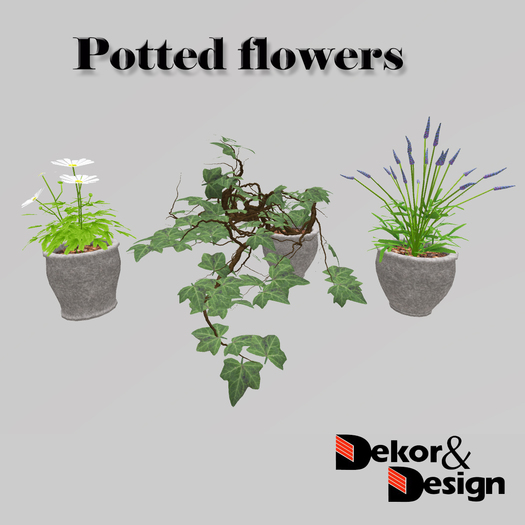 D&D Potted flowers