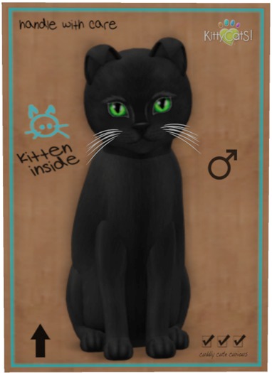 KittyCatS Box - Russian - Black