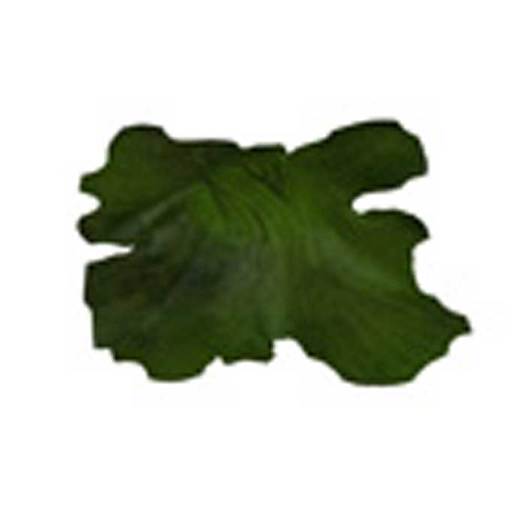 [Basket mod 1] Seaweed [20] [G&S]