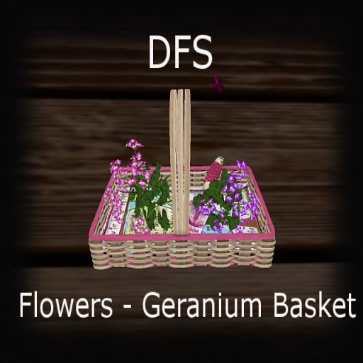 DFS Flowers - Geranium Basket