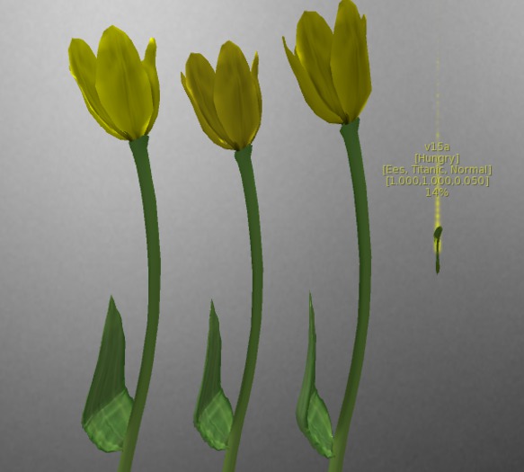 {Papillon} Hu/Tit/Nor/Ees/+ Plant