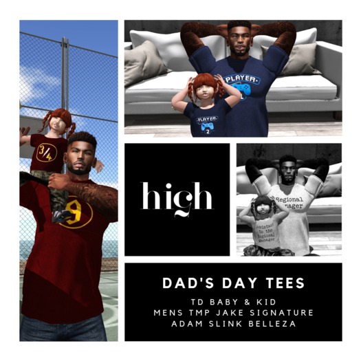 [high v.] unisex tee (td kid & baby) w/ hud dads day