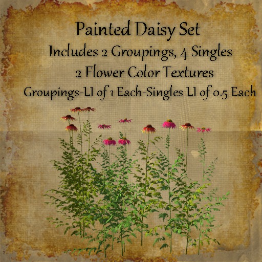 Bad Katz Painted Daisy Set