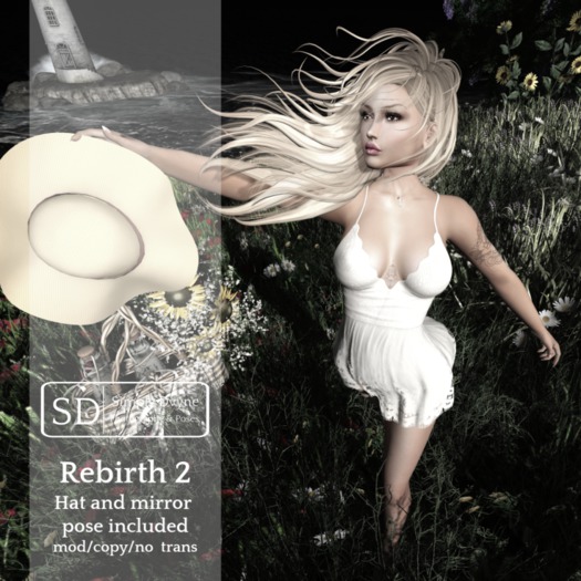 SD:: Rebirth - 2