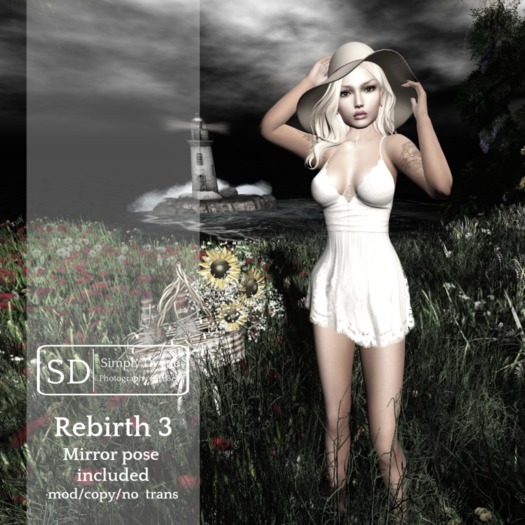 SD:: Rebirth - 3