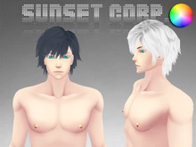 Sunset Corp. Chrom Hair