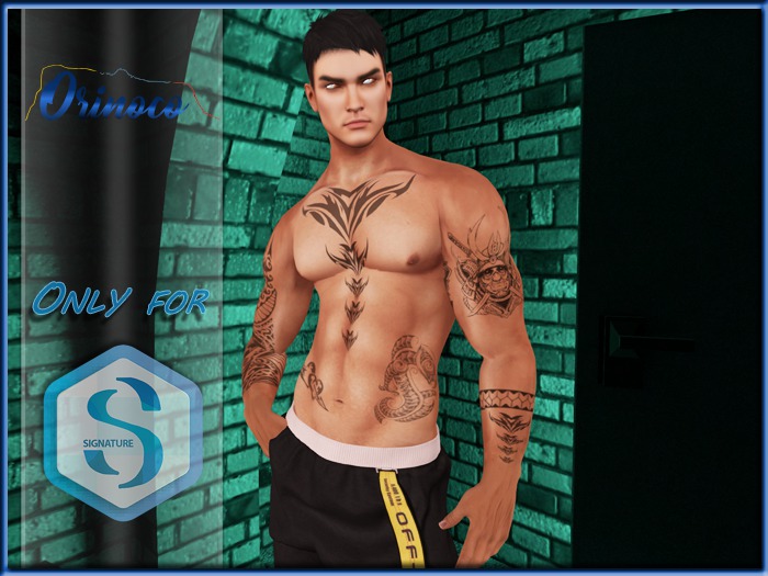 ORT-015 HUD [[ SIGNATURE BODY ]]